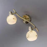 Спот на штанге Citilux Соната CL520523 (220V, цветы, круглые)