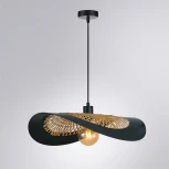 Подвесной светильник Arte Lamp Woodstock A7059SP-1BK (220V, на проводе)