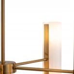 Потолочная люстра на штанге Freya Fiore FR5368CL-10BS (220V, круглые)