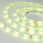 Светодиодная лента Arlight RTW 2-5000SE 014619