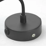 Подвесной светильник Lussole Loft Centereach GRLSP-9888 (220V, на проводе, IP21)