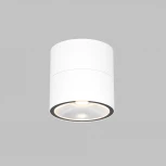 Уличный потолочный светильник Maytoni Spin O310CL-L12W3K (LED, 220V, круглые, IP54)