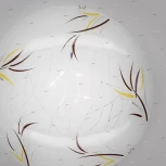 Настенно-потолочный светильник Citilux 918 CL918009