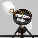 Потолочная люстра на штанге Imex MD.4080-6-S-BK+FGD