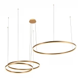 Подвесной светильник Loft IT Ring 10017/3L (LED, 220V, на тросе, кольцо)