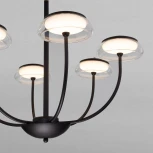 Потолочная люстра на штанге Eurosvet Fungo 50388 LED черный (220V)