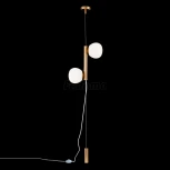 Торшер Maytoni Erich MOD221FL-01G