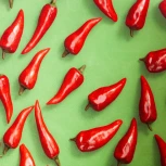 Кресло MELODY ткань/флок, олива, Botanica 03 pepper/23 Tetchair 19027