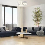 Потолочный светодиодный светильник с таймером Escada Streamline 10286/4LED 53Вт, с ПДУ, металл/акрил, белый (220V)