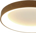 Потолочный светильник круглый Mantra Niseko 8587 (регулировка яркости, LED, 220V, пульт управления, круглые)