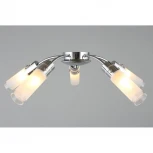 Потолочная люстра Omnilux 287 OML-28707-05