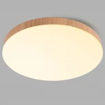 Светильник потолочный накладной светодиодный 48W Feron AL1600 51111 (220V, круглые, IP44)