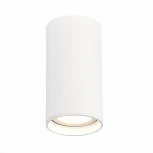 Светильник потолочный ST Luce ST157.542.15 (LED, 220V, круглые, IP44)