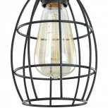 Подвесной светильник Maytoni Denver T447-PL-01-B