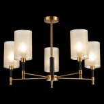 Люстра потолочная на штанге Granze SLE300302-05