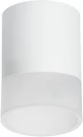 Светильник точечный накладной Lightstar Rullo R348681 (220V, круглые)