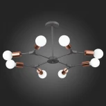 Потолочная люстра на штанге Evoluce Palare SLE106403-08 (220V, молекулы)