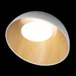 Потолочный светильник круглый Egg 10197/500 White Loft It (LED, 220V, круглые)