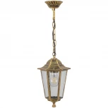 Уличный светильник подвесной Feron 11143 (220V, на цепи, IP44)