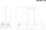 Потолочная люстра на штанге Zortes Dallas ZRS.90611.09 (220V, IP21)