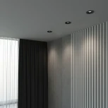 Встраиваемый светильник Elektrostandard Asimo 25009/01 GU10 чёрный (220V, круглые)