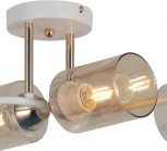 Потолочная люстра на штанге ILLUMICO IL8148-6COU-79 WH GD (220V)
