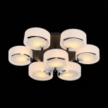 Потолочная люстра ST Luce Foresta SL483.402.07