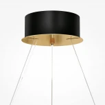 Подвесной светильник Maytoni Castello MOD336PL-L120G3K (LED, 220V, хрусталь, на тросе, круглые)