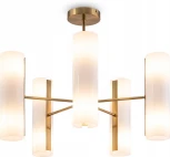 Потолочная люстра на штанге Freya Fiore FR5368CL-10BS (220V, круглые)