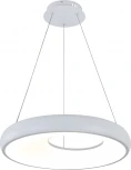 Подвесной светильник (14016/1P White) Indigo Cratere V000153L (регулировка яркости, LED, 220V, пульт управления, на тросе, круглые)