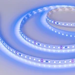 Светодиодная лента RT 2-5000 24V Blue 2x (3528, 600 LED, LUX) (Arlight, 9.6 Вт/м, IP20) 008783(1)