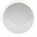 Светильник потолочный светодиодный диммируемый Ritter Saturn 52251 5