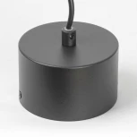 Подвесной светильник Lussole Levy LSP-8917 (220V, на проводе, круглые)