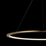 Подвесной светильник Loft IT Ring 10014XL (LED, 220V, на тросе, кольцо)