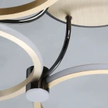 Потолочная люстра Вальтер 551012805