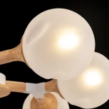 Потолочная люстра Freya Amy FR5105CL-08W