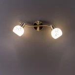 Спот на штанге Citilux Соната CL520523 (220V, цветы, круглые)