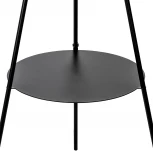 Торшер с полкой на треноге со столиком Citilux Рейнер CL806023 (220V, выключатель)