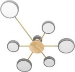 Потолочная люстра на штанге Loft It Sunrise 10316/6 Grey