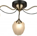 Потолочная люстра Wedo Light Bardi 66658.01.37.03