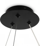 Подвесная люстра Maytoni Balance MOD317PL-04B (220V, на тросе, шарики, кольцо)