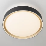 Потолочный светильник RGB круглый светодиодный с пультом Citilux Boss CL751251G (220V, круглые)