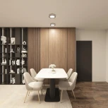 Потолочный светильник круглый Denkirs Dual DK2841-WB (LED, 220V, круглые)