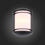 Настенный светильник уличный ST Luce Agio SL076.401.01