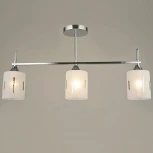 Потолочная люстра на штанге Reluce 01429-0.3-03 (220V)