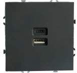 Розетка USB Type A+С (черный) Stekker Эмили 49853