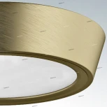 Потолочный светильник круглый Lightstar Urbano Mini 214714 (LED, 220V, IP65)