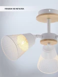 Потолочная люстра на штанге Wedo Light Mert WD3525/3C-WT-CR-WT