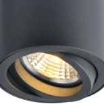 Накладной точечный светильник Arte Lamp Sentry A1560PL-1BK