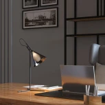 Настольная лампа Eurosvet Enigma 01186/1